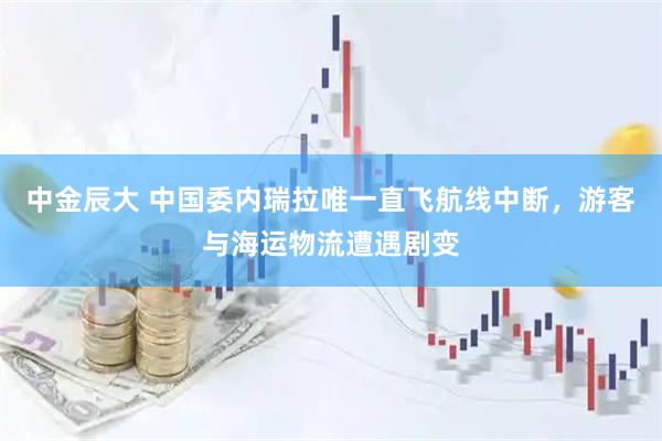 中金辰大 中国委内瑞拉唯一直飞航线中断，游客与海运物流遭遇剧变