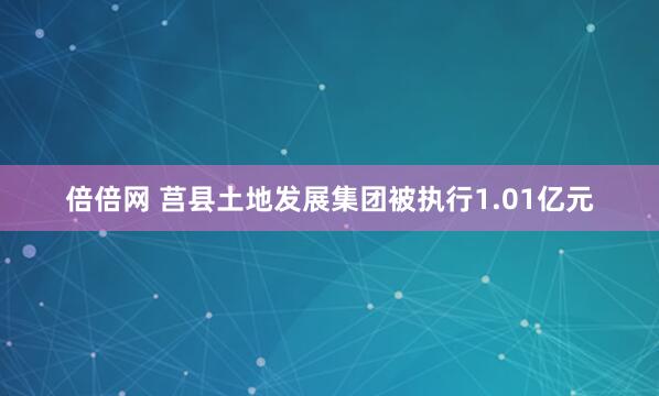 倍倍网 莒县土地发展集团被执行1.01亿元