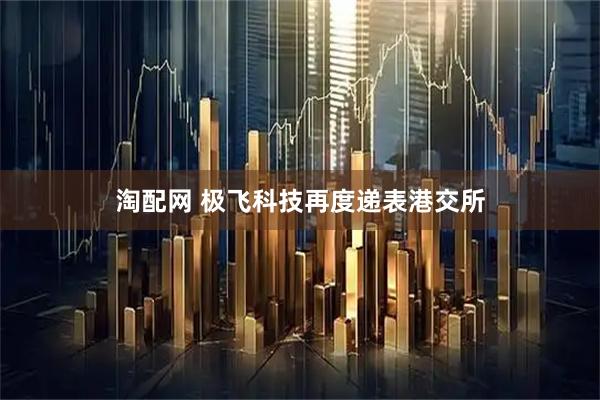 淘配网 极飞科技再度递表港交所