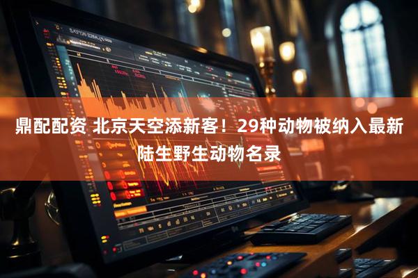 鼎配配资 北京天空添新客！29种动物被纳入最新陆生野生动物名录
